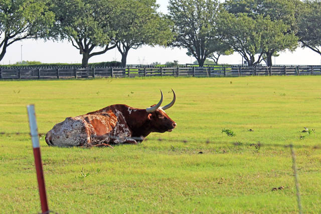 Plano, Texas